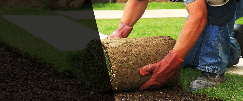 Boulder Creek Landscapers